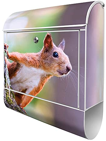 banjado® Design Briefkasten mit Eichhörnchen 38,5x46,5x13cm & 2 Schlüssel - Briefkasten Stahl weiß mit Zeitungsfach pulverbeschichtet - Postkasten A4 Einwurf inkl. Montagematerial