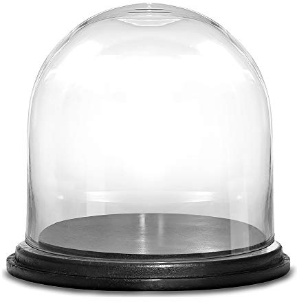 CYS GDO106-WB001/11BK Glass Cloche Dome with Black Wood Base, 13.5