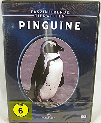Faszinierende Tierwelten: Pinguine