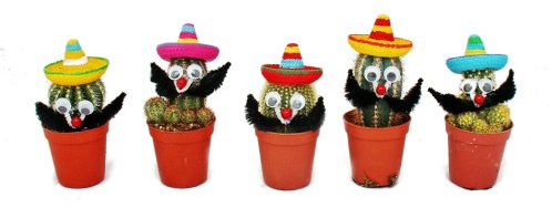 exotenherz - Kakteen mit lustigem Sombrero