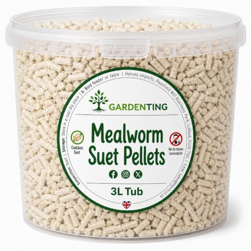 Garden Ting Mealworm Suet Pellets Wild Bird Food High Energy, 3L Tub