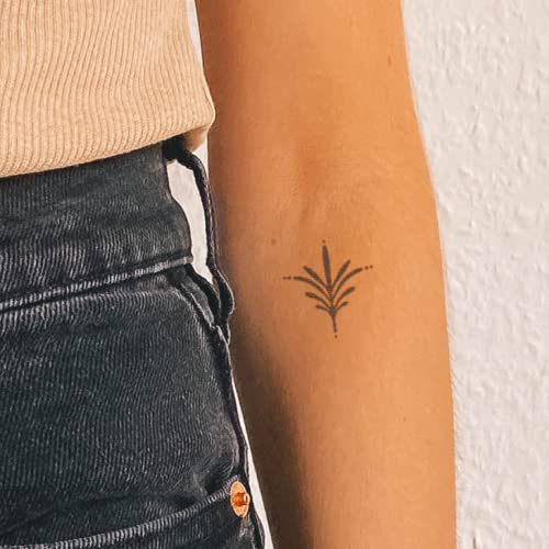 Inkster Tattoo - Kunstvolle Feder Schlange | vegane & wasserfeste Temporäre Tattoos für Erwachsene - EU-Kosmetikzertifizierte Farbe - revolutionäres 2 Wochen Tattoo | Premium Klebetattoos