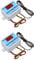 diymore 2PCS Termostato Digital,Controlador de Temperatura,Digital Refrigeración y Calefaccion Regulador W3002 AC 110V-220V con Sensor