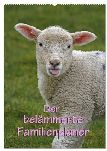 Der belämmerte Familienplaner (Wandkalender 2026 DIN A2 hoch), CALVENDO Monatskalender: Liebenswerte Nutztierkinder (CALVENDO Tiere)