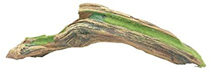 FLUVAL Plante d'Aquarium pour Aquariophilie Racine avec Mousse 28,5 cm
