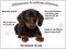 Merchandise for Fans Blechschild/Warnschild/Türschild - Aluminium - 20x30cm - - Willkommen in Meinem Zuhause - Motiv: Dackel Teckel Dachshund Glatthaardackel liegend - 09