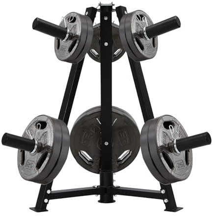 Dumbbell Rack,Weight Plate Rack Carbon Steel OLympic Plate Rack Weight Plate Rack for Dumbbells Load Capacity 300Kg,Dumbbell Holder Suitable for Gyms,Iron Pavilion