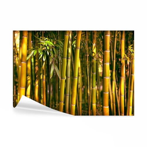 decomonkey Fototapete Bambus Natur 350x256 cm XXL Tapete Wandbild Bild Fototapeten Tapeten Wandtapete Wald