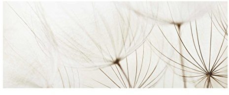 Bilderwelten Top Blumen Glasbilder Wandbild Foto Kunstdruck 40 x 100 cm, Sanfte Gräser