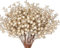 N&T NIETING Christmas Berries Stems, 24 Pcs Artificial Glitter Berry Stems Branches Ornaments, 9.8inch Artificial Holly Berries for Wreath Making Supplies Christmas Tree Decoration, Champagne
