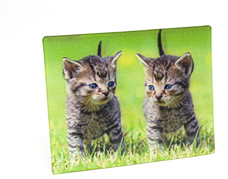 Unbekannt 3 D Magnet Kätzchen 9x7cm Kühlschrankmagnete Tiere Katzen Katze