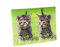 Unbekannt 3 D Magnet Kätzchen 9x7cm Kühlschrankmagnete Tiere Katzen Katze