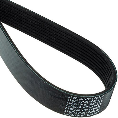 JAPKO 8PK1310 Zahnriemen