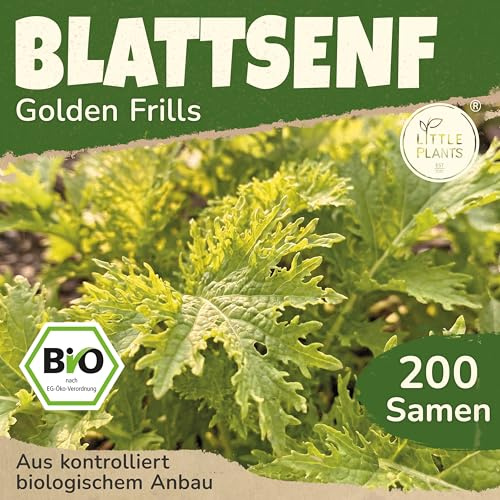 Little Plants BIO Blattsenf Samen 200 Blattsenfsamen Golden Frills Senfkohl Gemüsesamen Gemüsesaatgut Samenfest für Gemüsegarten, Hochbeet, Küche, Balkon und Garten