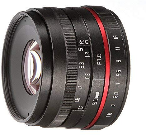 FOTGA 50mm F / 1.8 Messa a fuoco manuale Obiettivo MF Prime per Panasonic Olympus Micro 4/3 Montare MFT GH1 GH2 GH3 GH4 GH5 GH5s E-PM1 E-PM2 E-PL1 E-PL2 E-PL3 E-M10 Mark II III Telecamere Dslr