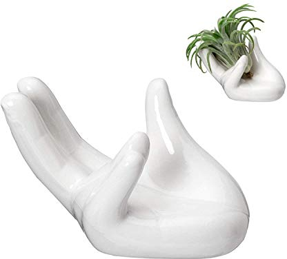 Tillandsia-Halter für Luftpflanzen, Keramik, 2 Stück- Tillandsia Luftpflanze Zimmerblumen Urban Jungel Zimmerpflanzen indoor | Tillandsien Pflanzen Blumentöpfe