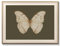 Uniro Gerahmte Vintage-Wandkunst, klassische Schmetterlings-Ölgemälde, dunkle stimmungsvolle Insekten, Leinwanddrucke Kunstwerk mit antikem Rahmen, Saige-Grün, Wanddekoration, Bilder für Schlafzimmer,