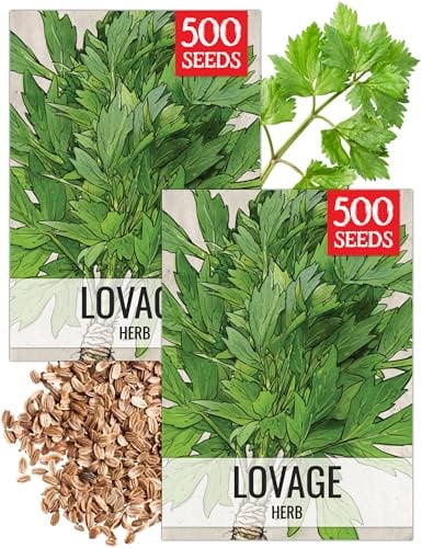 Seed Needs Lovage Seeds for Planting - Non-GMO Heirloom & Untreated Herbs to Plant a Medicinal/Culinary Home Grown Herb Garden Indoors or Outdoors (2 Packs)