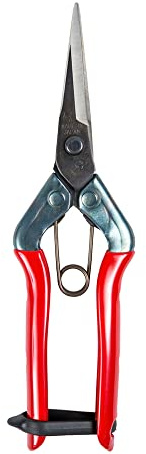 Chikamasa 8250005 Scissors Chikamasa recolect. T-552 185 mm