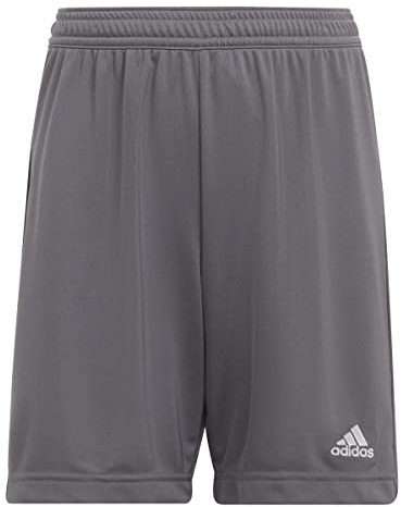 adidas Unisex Kinder Entrada 22 Shorts, Team Grey Four, 15-16 Years