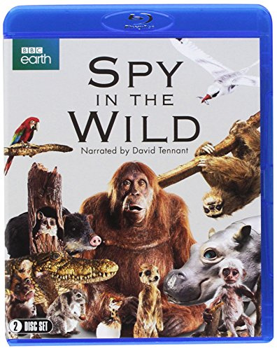 Spy in the Wild (BBC) [Blu-ray]