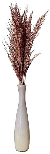 Pampasgras Ziergras Getrocknet Altrosa Natur Bund Trockenblumen Deko Gras 80cm