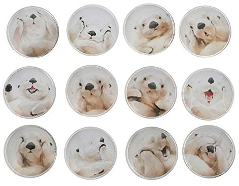 SOLUSTRE 12 Stück Kühlschrankmagnete Otter Mosaik Glas Cabochons Edelstein Tier Tier Magnetische Aufkleber Dekoration Nachricht Post für zu Hause Kühlschrank