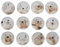 SOLUSTRE 12 Stück Kühlschrankmagnete Otter Mosaik Glas Cabochons Edelstein Tier Tier Magnetische Aufkleber Dekoration Nachricht Post für zu Hause Kühlschrank