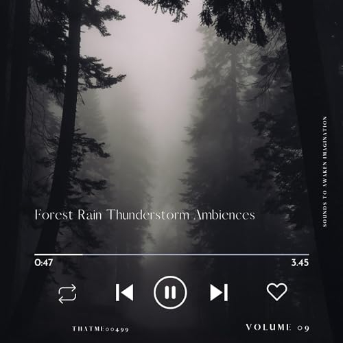 Raindrop Rings on the River - Forest Melodies