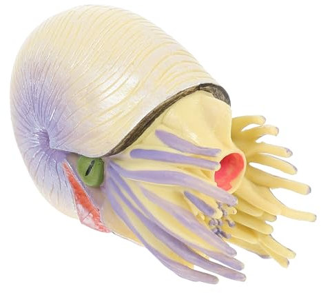 Sosoport Meereslebewesen Modell Nautilus Figur Puzzle Spielzeug Fisch Modell Spielzeug Lebendige Nautilus Modelle Spielzeug Entwicklungsspielzeug Papageien Spielzeug