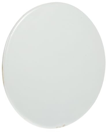TIDTALEO Piatto in Ceramica Grezzo Rotondo 20 Cm per Disegno Fai da Te, Superficie Liscia Senza Sbavature, Materiale Sicuro per Lezioni D’Arte e Hobby Creativi e Adulti