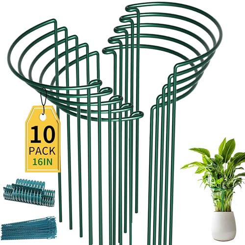 TCBWFY 10 Pack Garden Plant Support Stakes,10 Widex16 High Heavy Duty Interlinked Half Round Peony Support Ring Cage for Indoor Outdoor Plants,Plant Supports for Peony,Tomato,Hydrangea,Rose