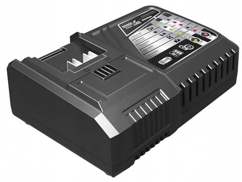 Dedra Schnellladegerät SMART 125W 20V 5,0A DED7039