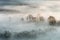 VLIES Fototapete-WALD-(6224Pr)-400x260 cm-Foto-Kunst Nebel Bäume Landschaft Natur Panorama Wandtapete Bildtapete