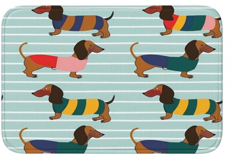 Mexpekil Colorful Dachshund Dog Stripes Absorbent Doormats 40x60 cm, Non Slip Indoor Outdoor Door Mats, Floor Mats for Home Kitchen
