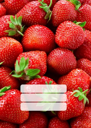 ERDBEEREN Schulheft DIN A4 Lineatur 3 ohne Rand: Heft für die 3. Klasse | liniert | 50 Blatt |100 Seiten | Deutschheft | Notizheft | Schreibheft für die Grundschule