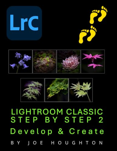 Lightroom Classic Step by Step 2: Develop & Create (Houghton Photography Guides)