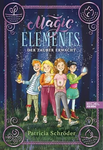 Magic Elements (Band 1): Der Zauber erwacht