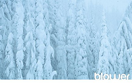 Blower : Snowboarding Inside Out (Book & DVD Set)