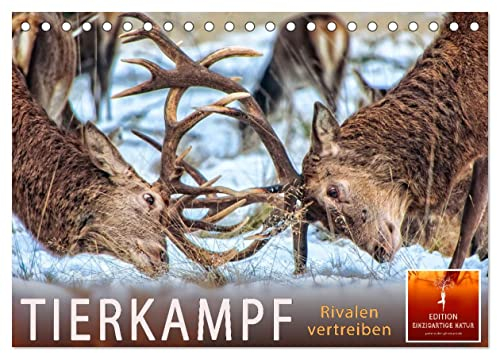 Tierkampf - Rivalen vertreiben (Tischkalender 2025 DIN A5 quer), CALVENDO Monatskalender