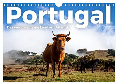 Portugal - Das wunderschöne Land am Atlantik. (Wandkalender 2026 DIN A4 quer), CALVENDO Monatskalender: Eine fröhliche Entdeckungsreise nach Portugal. (CALVENDO Orte)