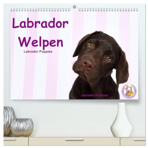 Labrador Welpen - Labrador Puppies (hochwertiger Premium Wandkalender 2026 DIN A2 quer), Kunstdruck in Hochglanz: niedliche Labrador Welpen im Studio (CALVENDO Tiere)