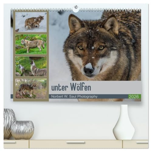 unter Wölfen (hochwertiger Premium Wandkalender 2026 DIN A2 quer), Kunstdruck in Hochglanz: Wölfe ein Jahr mit der Kamera begleitet (CALVENDO Tiere)
