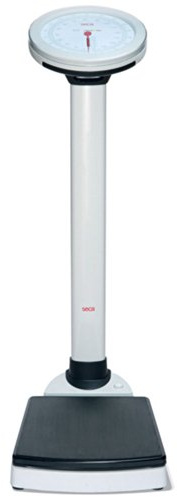 Seca 755 Mechanical Column Scale with BMI Display