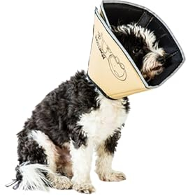 All Four Paws „The Comfy Cone“ Halskrause für Haustiere, Large