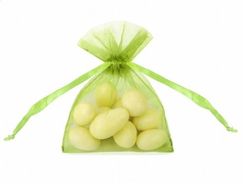 20 Organzabeutel apfelgrün grün Organzasäckchen 7,5 x 10 cm Gastgeschenke
