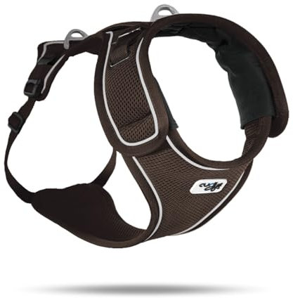Belka Harness Brown XL