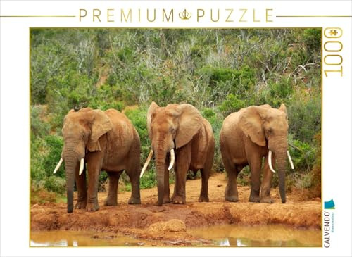 CALVENDO Puzzle EIN Motiv aus dem Kalender African Elephants in Addo 1000 Teile Puzzle quer | Lege-Größe cm Foto-Puzzle für glückliche Stunden