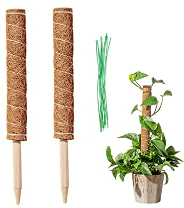 LINSOCLE 2 Pièces Tuteur Coco, Tuteur Plante , Poteau De Coco Bâton De Coco pour La Maison Jardin Grimpantes Extension De Support De Plante(40cm)
