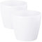 PECZEKO Macetas Brillantes Macetas Decorativas Hierbas Macetas Redondas de plástico duraderas y Ligeras para salón, Comedor, Cocina, terraza, balcón Juego de 2 Piezas (Blanco, diámetro 12 cm)